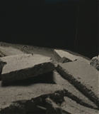 Alert303-0374.jpg