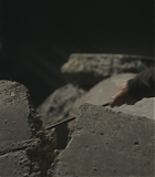 Alert303-0376.jpg
