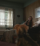 Filename=Alert306-0203.jpg
Filesize=114KiB
Dimensions=1920x960
Date added=Apr 25, 2026 Alert306-0203.jpg