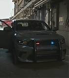 Alert309-0193.jpg