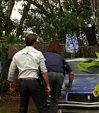 H5010100208.jpg
