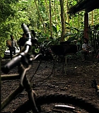 Filename=H5010200304.jpg
Filesize=136KiB
Dimensions=1280x720
Date added=Aug 25, 2014 H5010200304.jpg