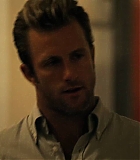 H5010300097.jpg