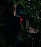 H5010300359.jpg