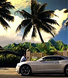 H5010300388.jpg