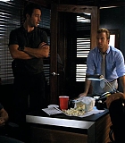 H5010300509.jpg