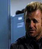 H5010400081.jpg