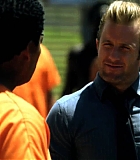 H5010400090.jpg