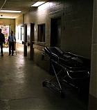 H5010500004.jpg