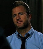 H5010500017.jpg