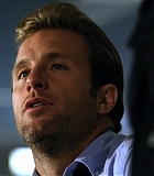 H5010500060.jpg