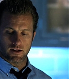 H5010500066.jpg
