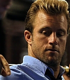 H5010500073.jpg