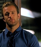 H5010600075.jpg