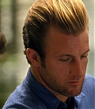 H5010600115.jpg