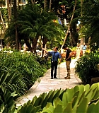 H5010600139.jpg