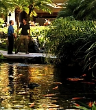 H5010600151.jpg