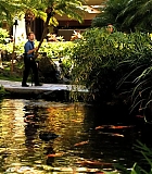 H5010600153.jpg