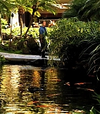 H5010600154.jpg