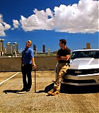 H5010600208.jpg