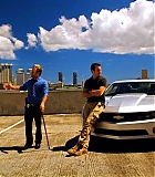 H5010600211.jpg