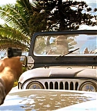 H5010600282.jpg