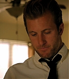 H50107-00280.jpg