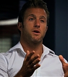 H50108-00401.jpg