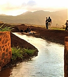 H50108-00598.jpg