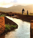 H50108-00599.jpg