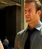H50109-00203.jpg