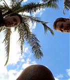 H50110-00230.jpg