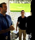 H50110-00303.jpg
