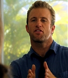 H50110-00313.jpg