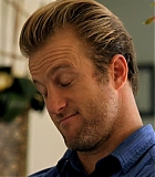 H50110-00321.jpg