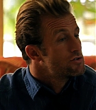 H50110-00365.jpg