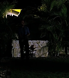 H50110-00433.jpg