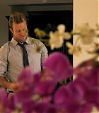 Filename=H50110-00521.jpg
Filesize=78KiB
Dimensions=1280x720
Date added=Sep 30, 2014 H50110-00521.jpg
