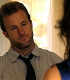 H50110-00526.jpg