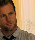 H50110-00528.jpg