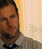 H50110-00529.jpg