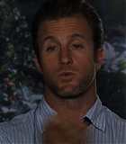 H50111-00153.jpg