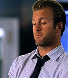 H50111-00231.jpg