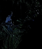 H50111-00251.jpg