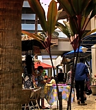 H50111-00264.jpg