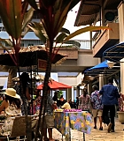H50111-00265.jpg