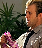 H50111-00271.jpg