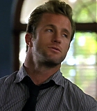 H50113-00145.jpg