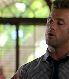 H50113-00146.jpg