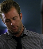 H50113-00163.jpg